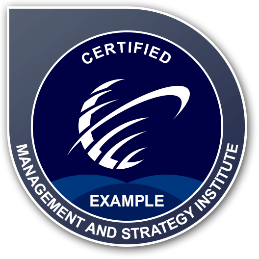 Lean Six Sigma - MSI